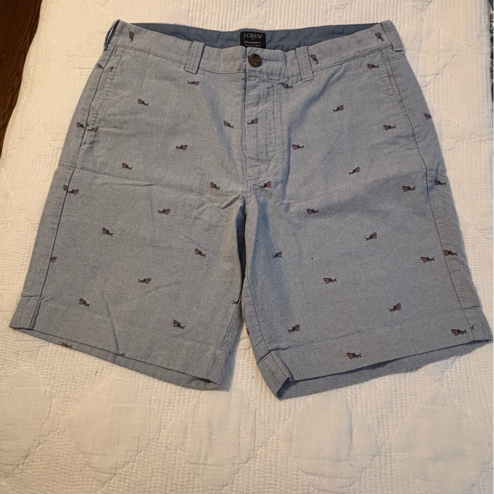 J. Crew Light Blue Patterned Men's Shorts